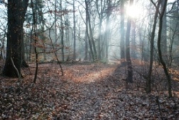 Rituale zum Loslassen Atelier für Rituale Tanja Totzeck